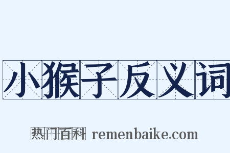 小猴子反义词是什么意思的图片